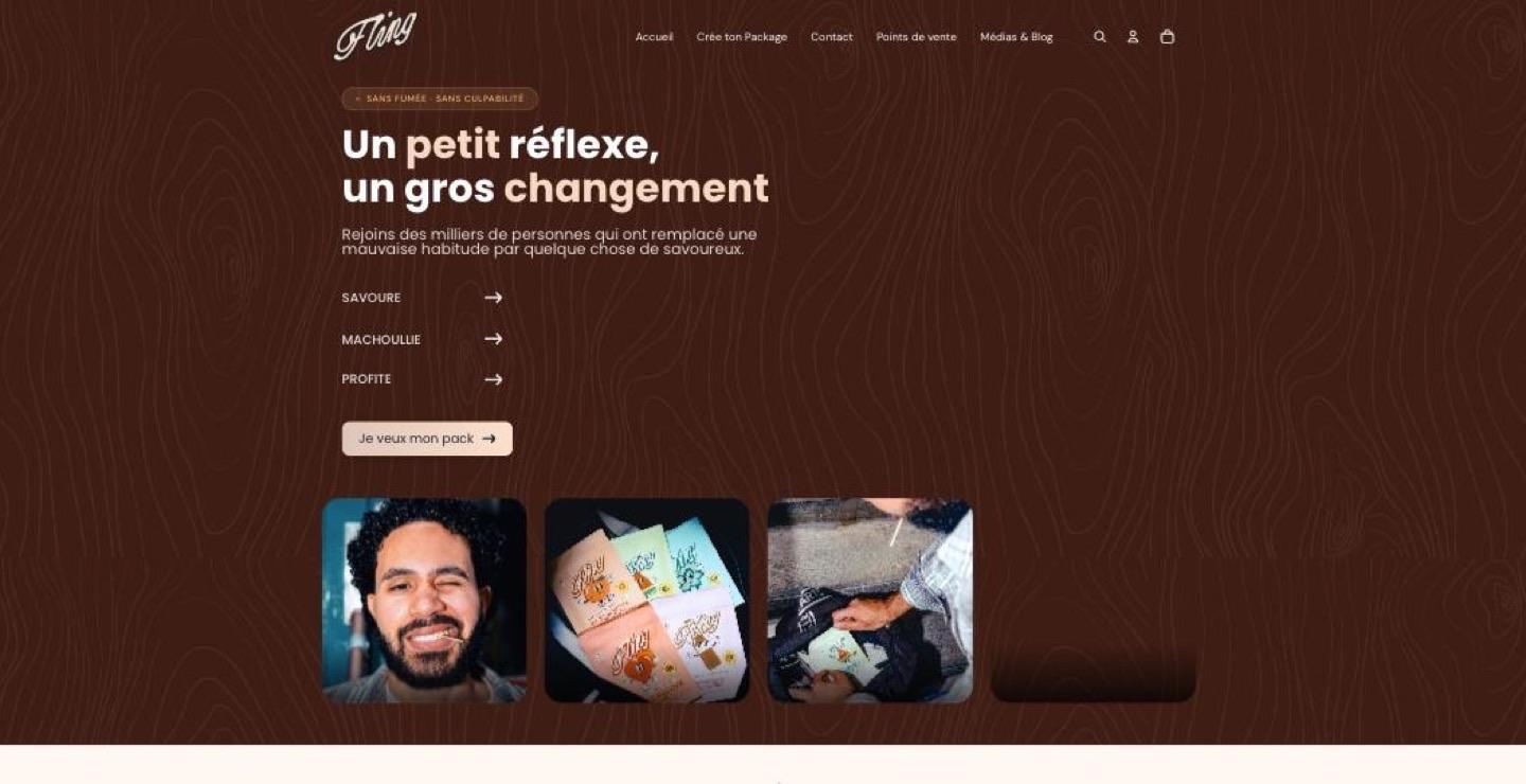 Page d'accueil du site de Fling Toothpicks