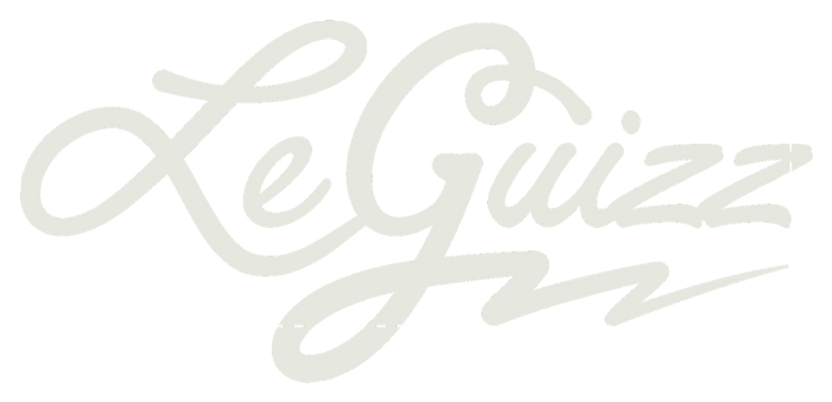 Logo LeGuizz Électrique